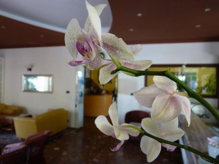 Hotel Gambrinus ลิโดดิเยโซโล ภายนอก รูปภาพ